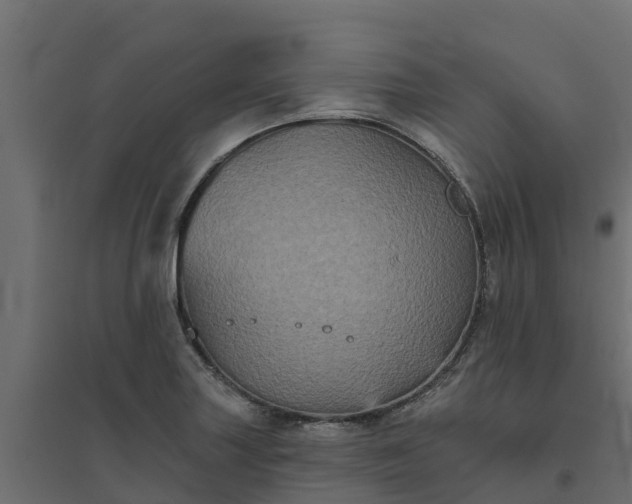 X0000094791227200711241354