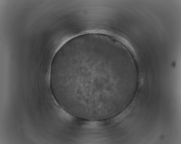 X0000094791228200711241354