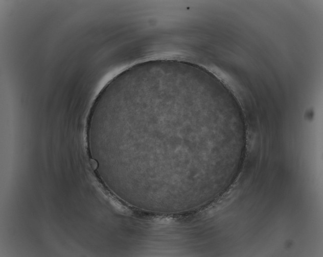 X0000094791230200711241354