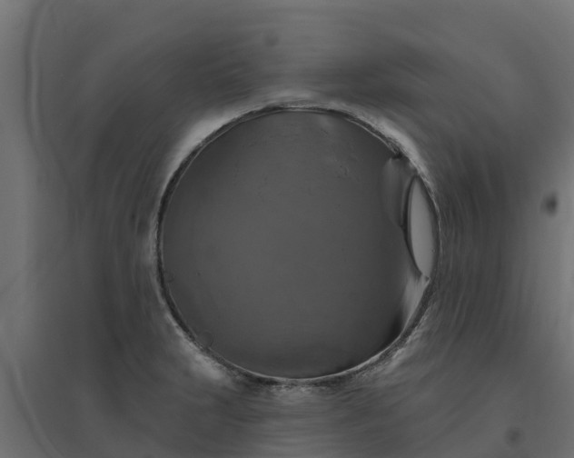 X0000094791231200711241354