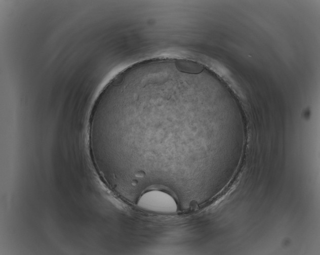 X0000094791232200711241354