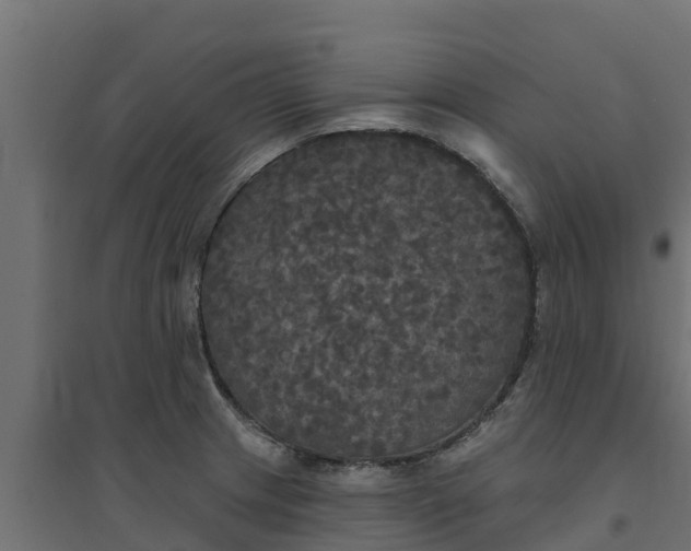 X0000094791233200711241354