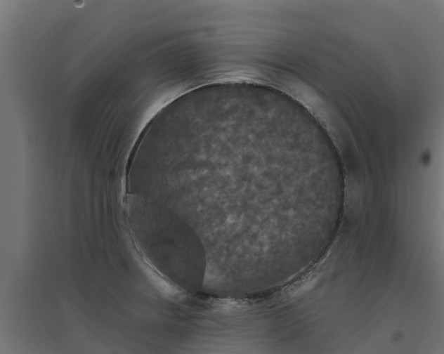 X0000094791234200711241354