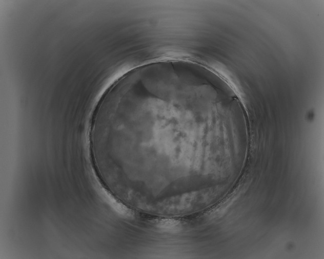 X0000094791235200711241354