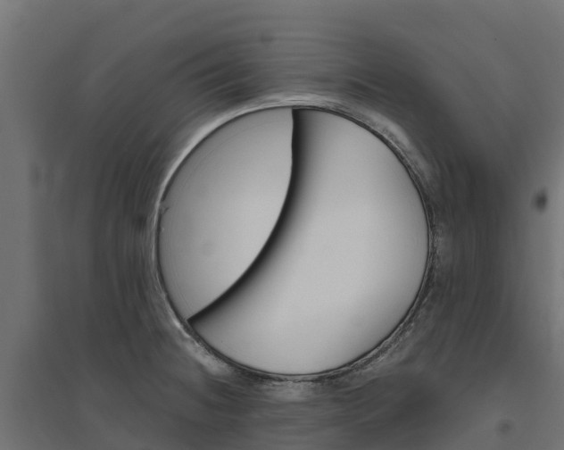 X0000094791236200711241354