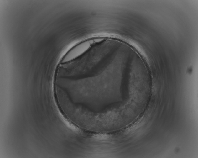 X0000094791237200711241354