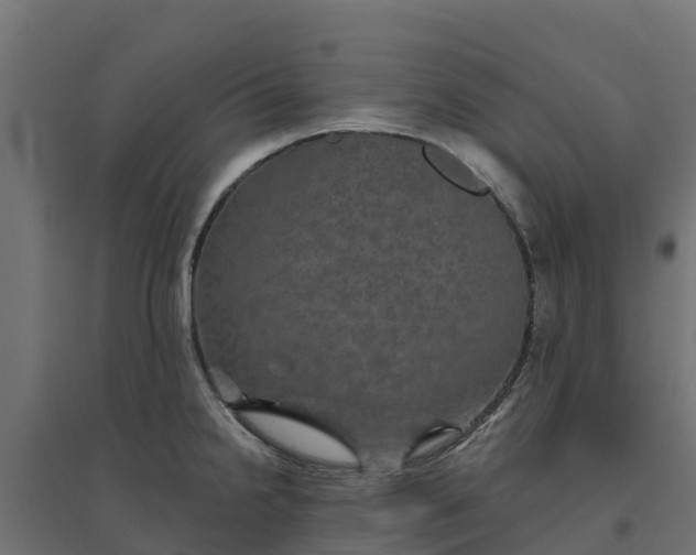 X0000094791238200711241354