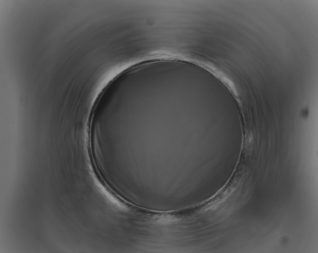 X0000094791239200711241354