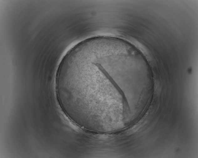 X0000094791240200711241354