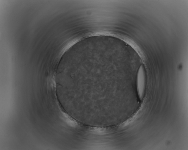 X0000094791241200711241354