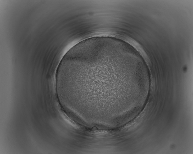 X0000094791242200711241354