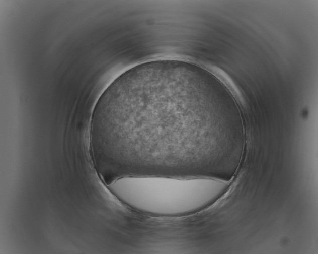 X0000094791244200711241354