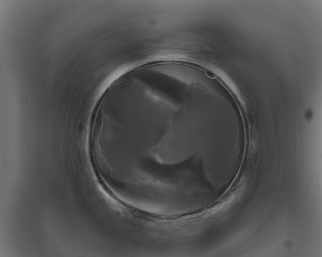 X0000094791245200711241354