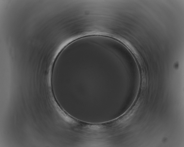 X0000094791246200711241354