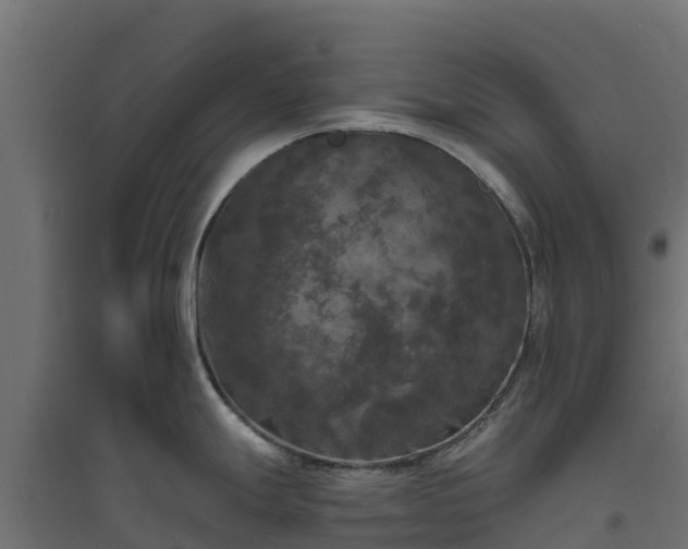 X0000094791247200711241354