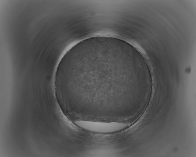 X0000094791248200711241354