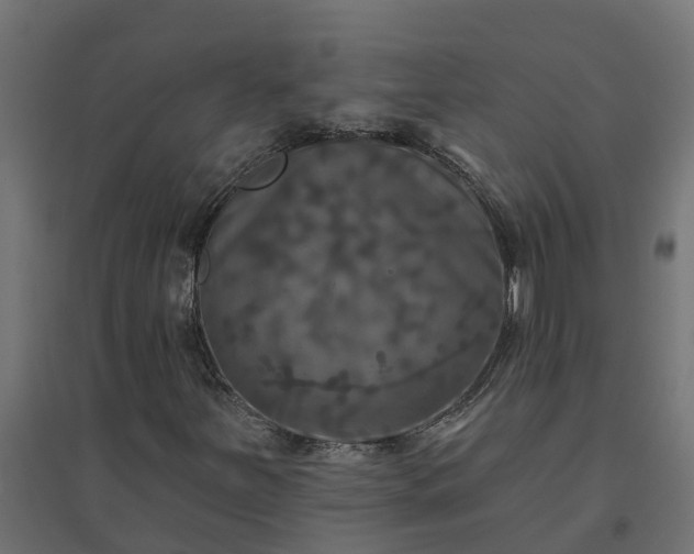 X0000094791251200711241353