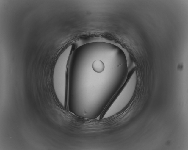 X0000094791252200711241353