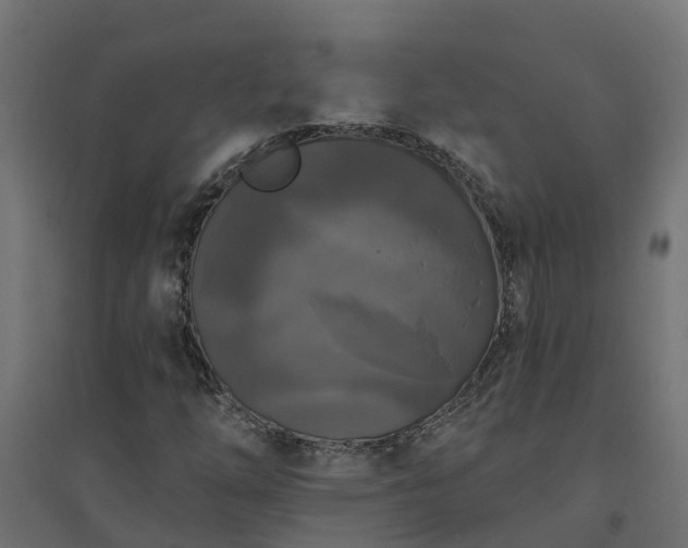 X0000094791254200711241353