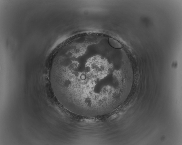 X0000094791255200711241353