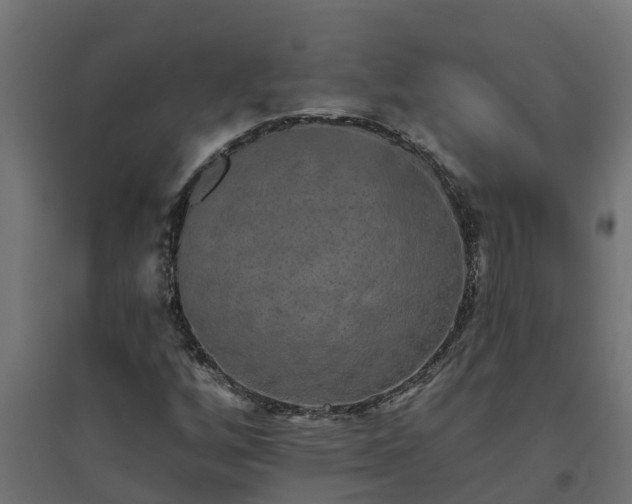 X0000094791256200711241353