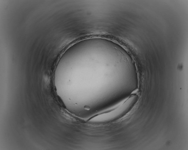 X0000094791257200711241353