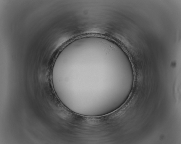 X0000094791258200711241353