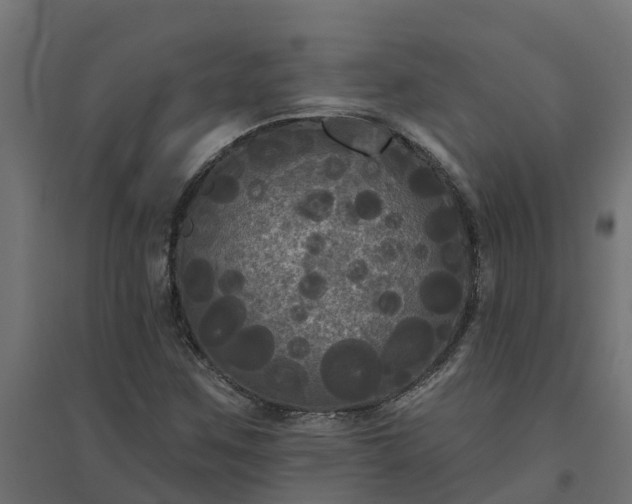 X0000094791259200711241353