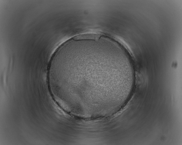 X0000094791260200711241353