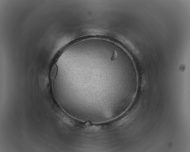 X0000094791261200711241353