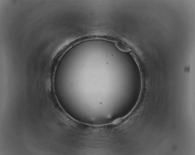 X0000094791262200711241353