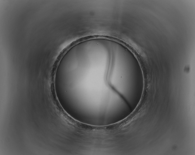 X0000094791264200711241353