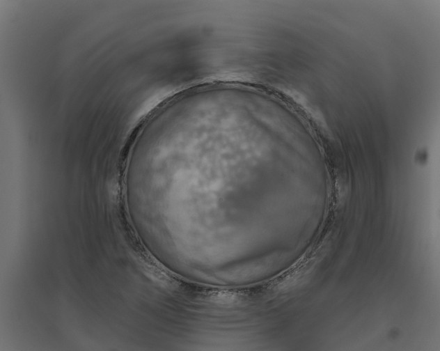 X0000094791266200711241353