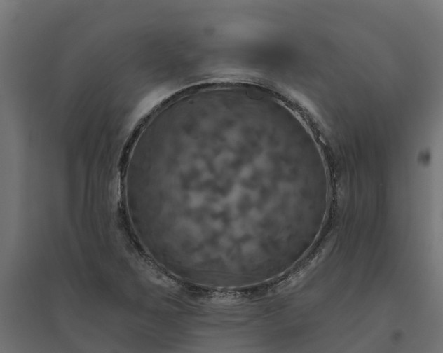 X0000094791267200711241353