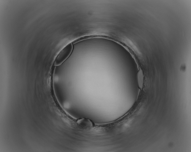 X0000094791268200711241353