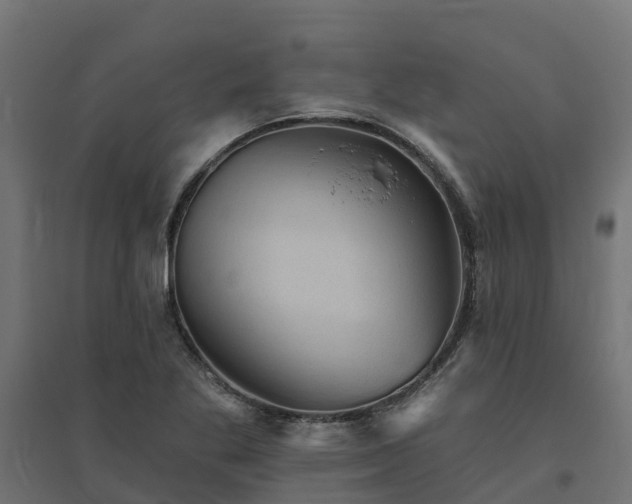 X0000094791269200711241353