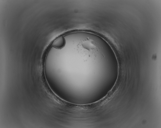 X0000094791270200711241353