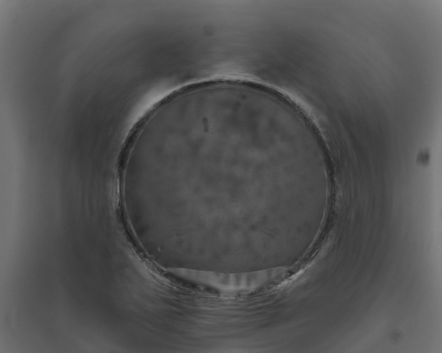 X0000094791271200711241353