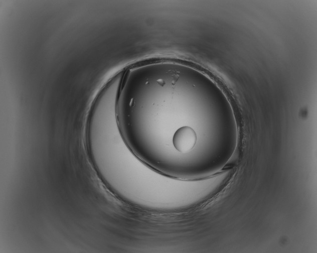 X0000094791272200711241353