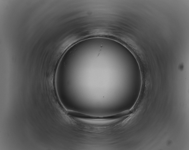 X0000094791273200711241353