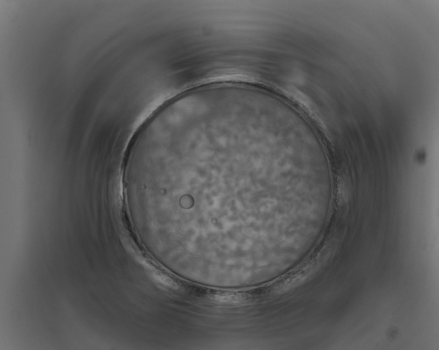 X0000094791274200711241353