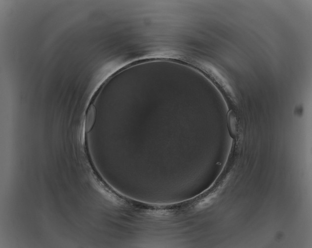 X0000094791276200711241353