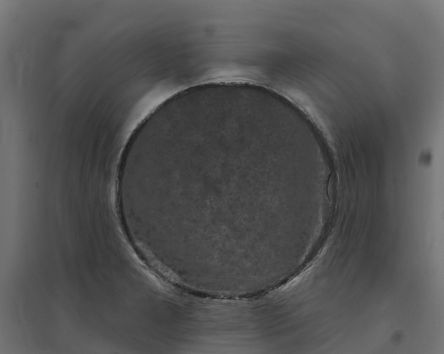 X0000094791277200711241353