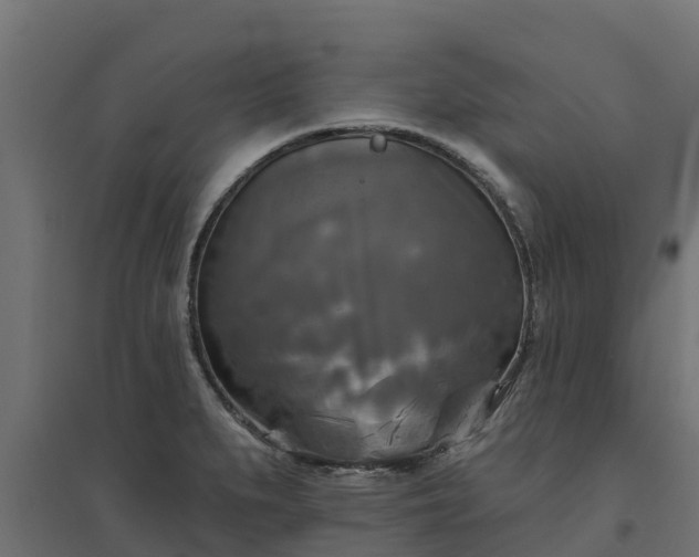 X0000094791279200711241353