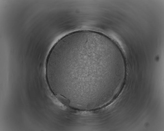 X0000094791280200711241353