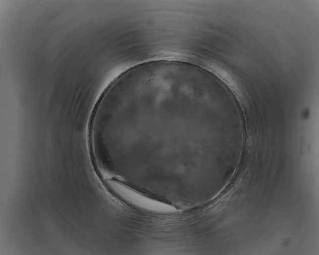 X0000094791283200711241353