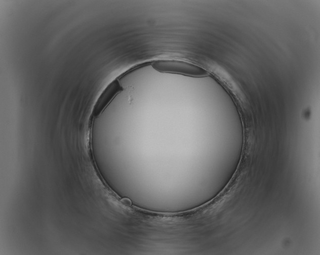 X0000094791284200711241353