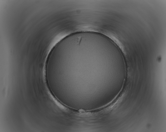 X0000094791285200711241353