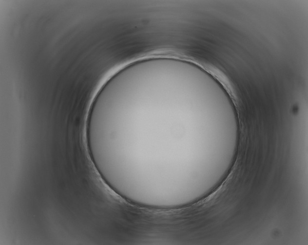 X0000094791288200711241353