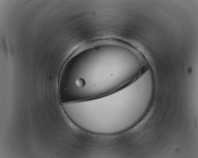 X0000094791289200711241353